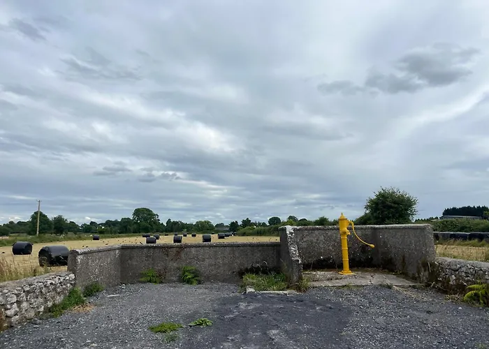 Andis Meadow Galway