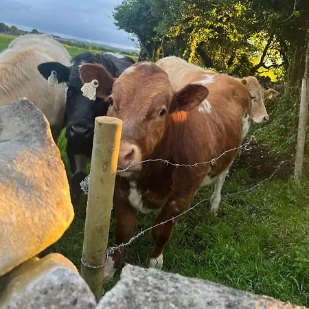 Appartamento Andis Meadow Galway