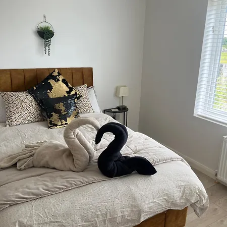 Andis Meadow 戈尔韦