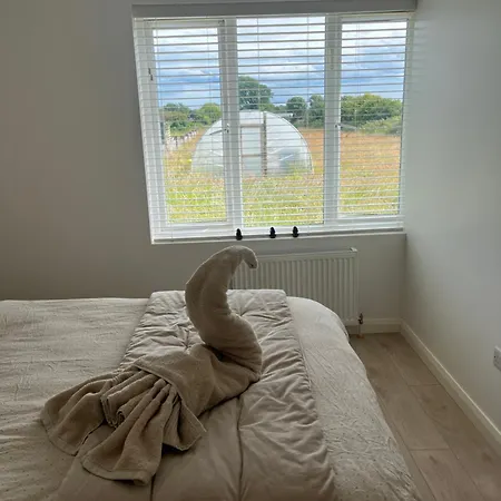 Andis Meadow * Galway