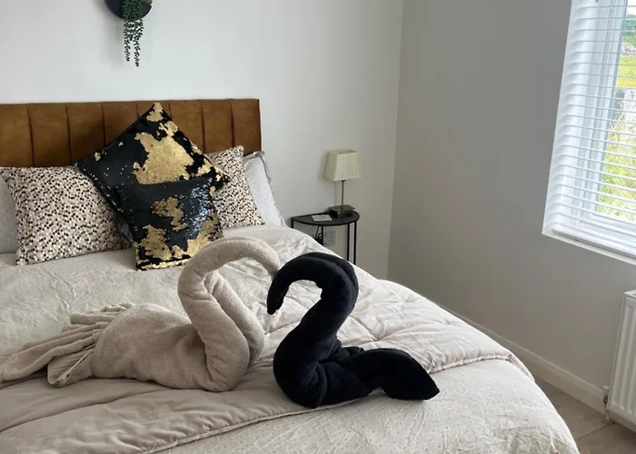 Andis Meadow 戈尔韦