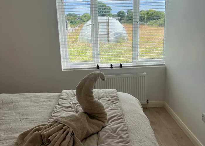 Andis Meadow * ゴールウェイ