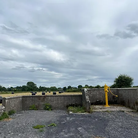 Andis Meadow Galway